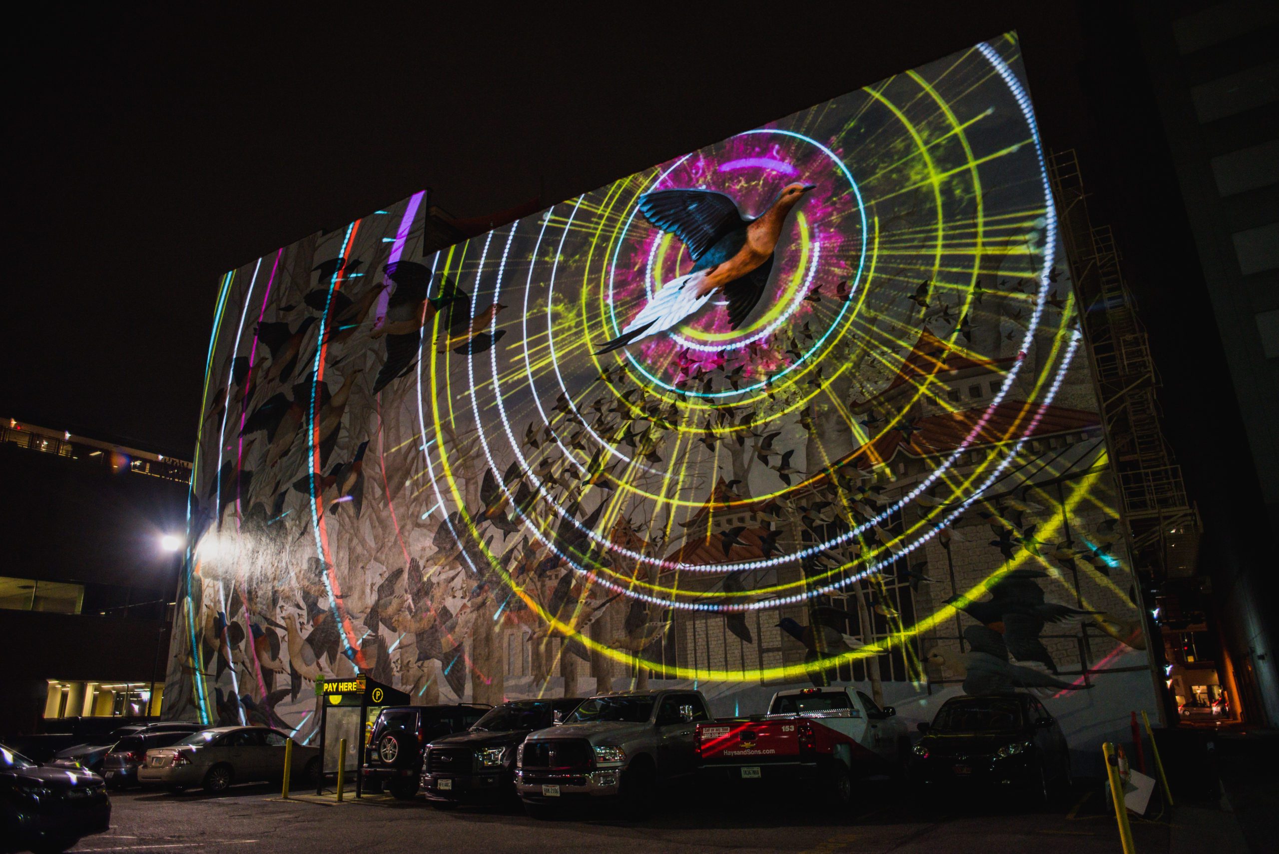 BLINK For The Birds Installation