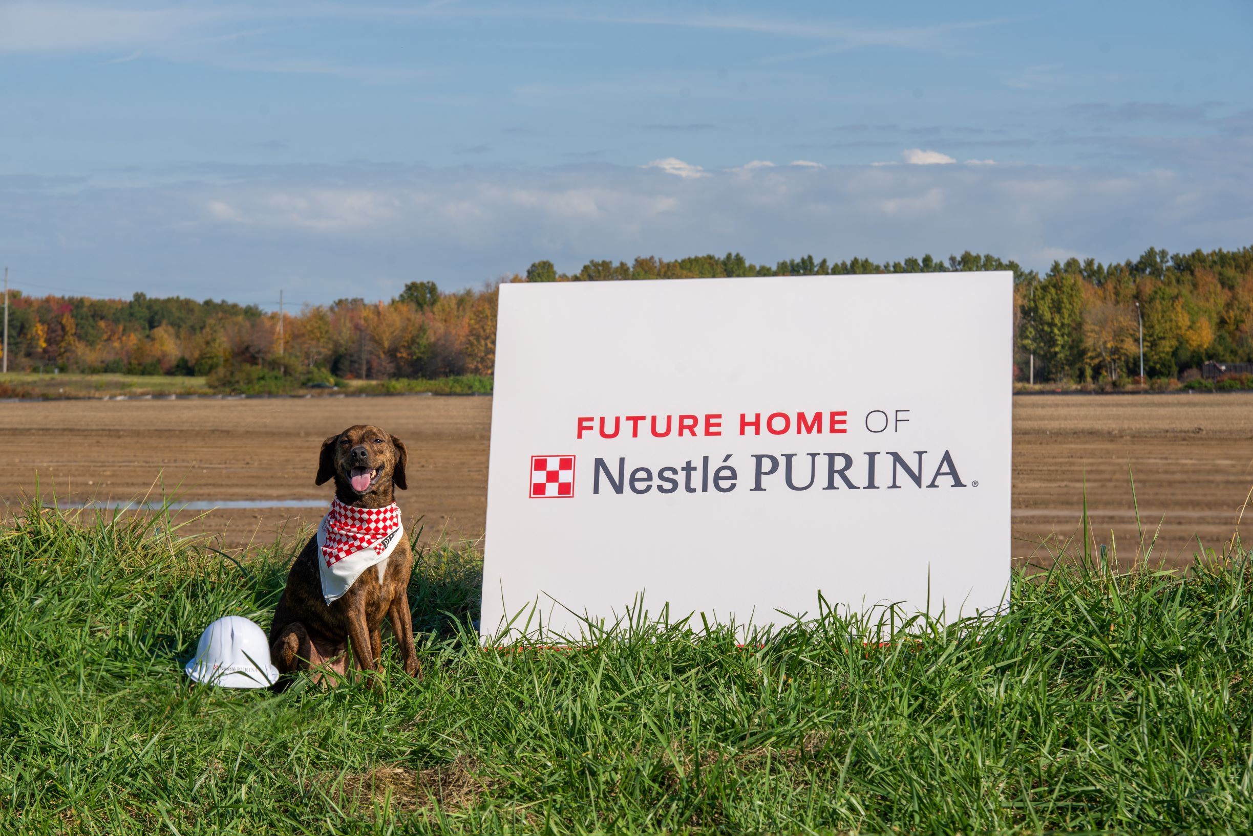 Nestle purina hot sale company