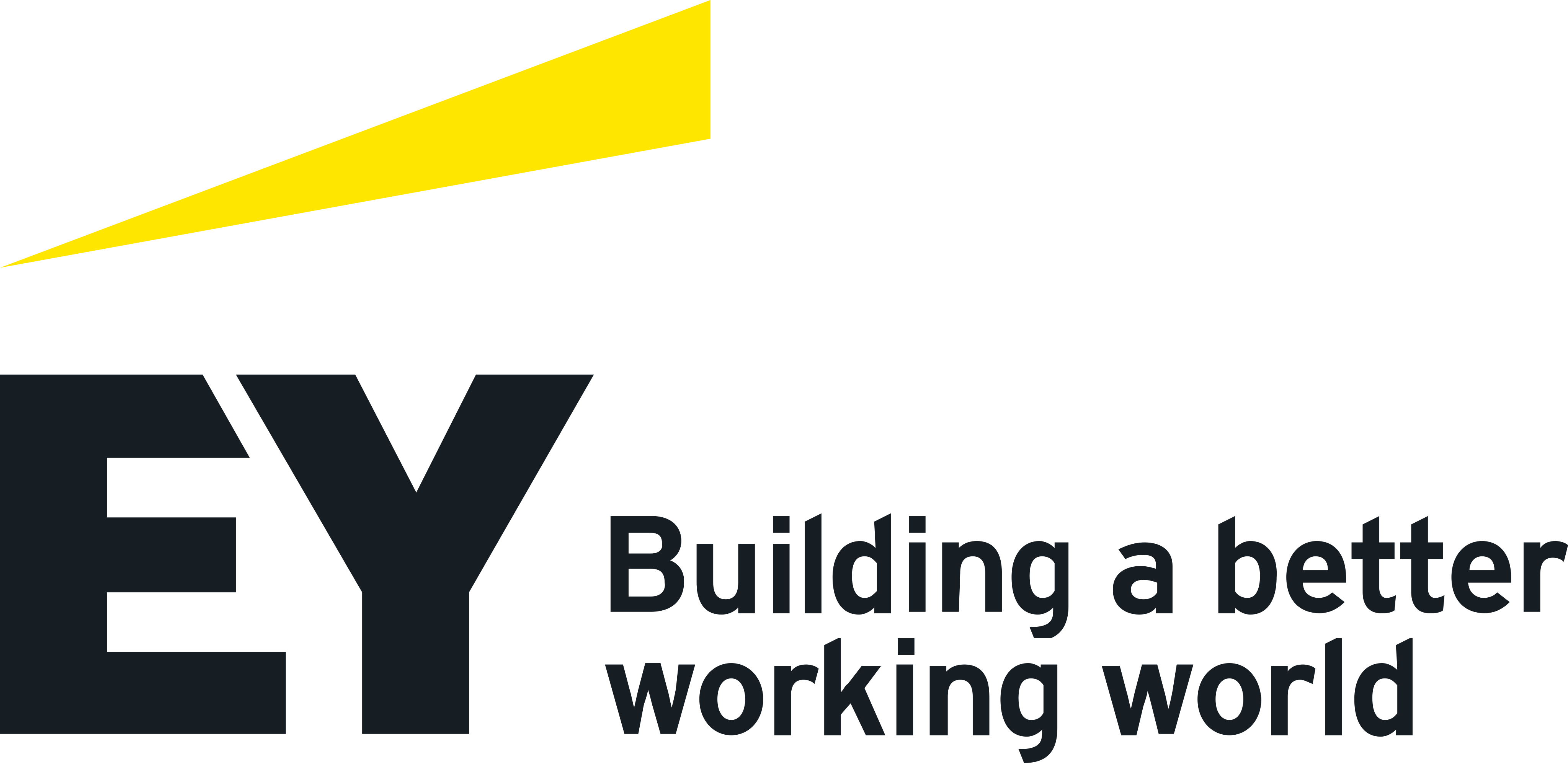 ernst-young-logo (opens in a new tab)
